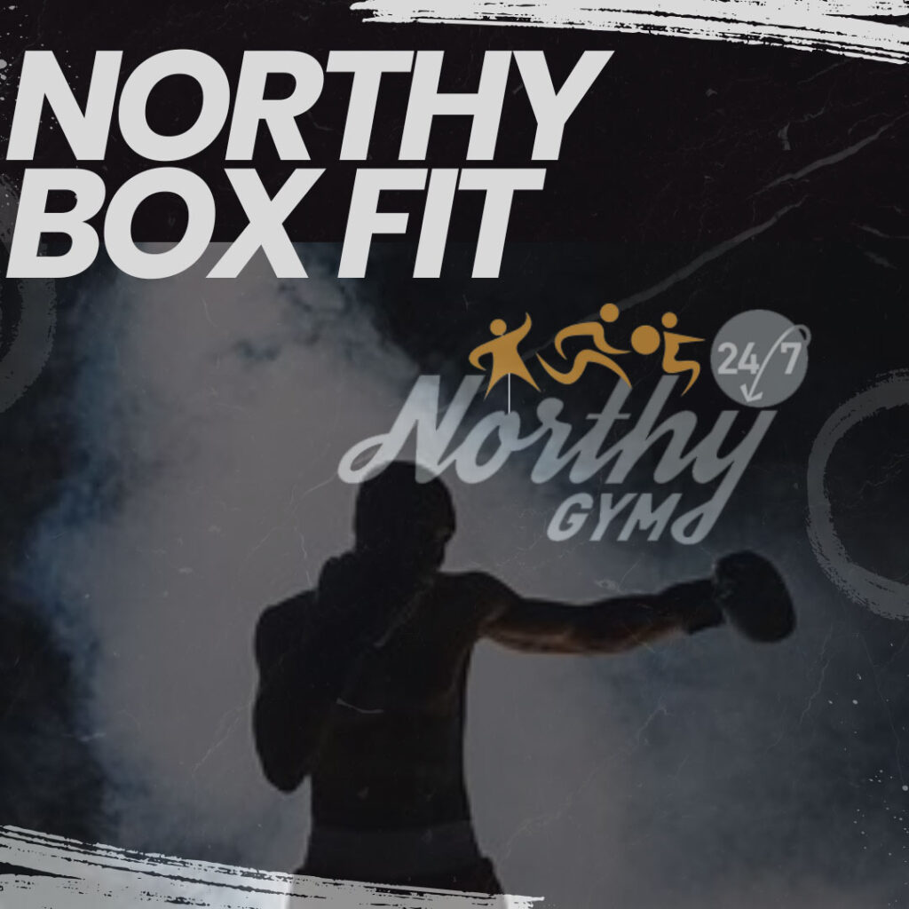 Notrhy Box Fit